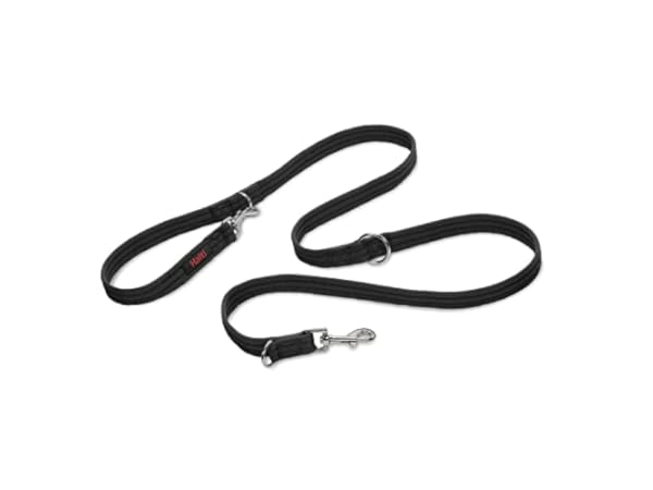 Training Leads for Dogs Thumbnail