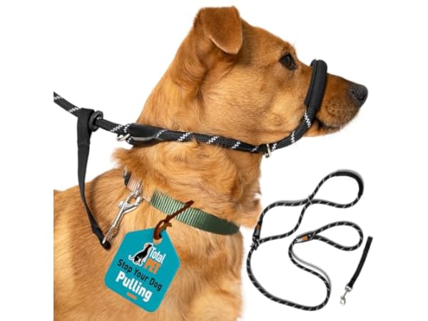 Training Leads for Dogs Thumbnail