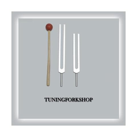 Tuningforkshop thumbnail