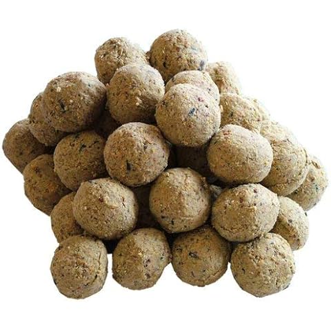 Twootz feature image