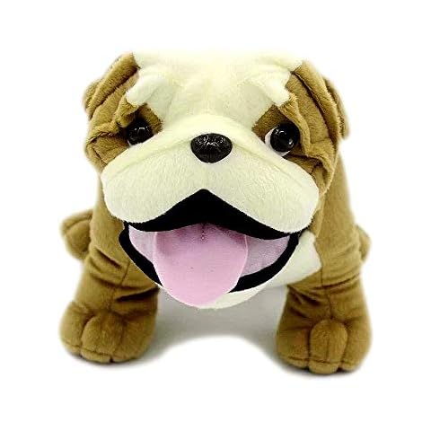 VACHICHI feature image