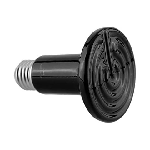 Vansuky feature image