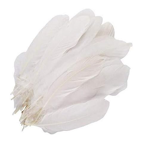 VANTOBEST feature image