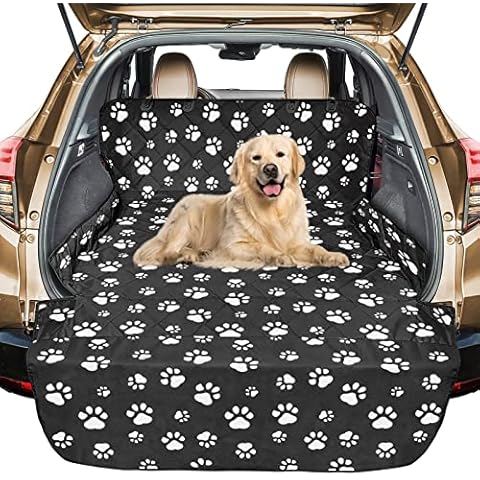 Veckle feature image