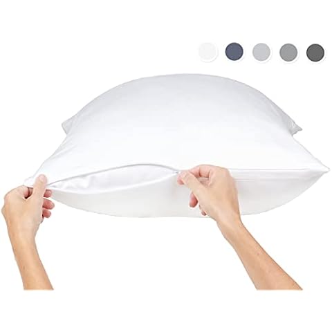 Vegan Silk feature image