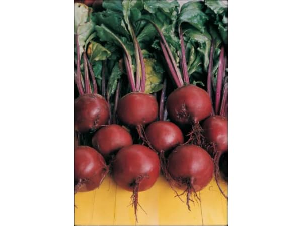 Vegetable Plants Thumbnail