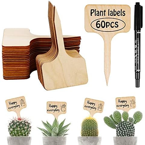 VEUWOLM feature image