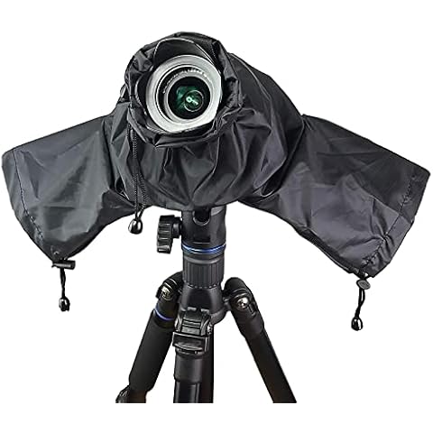 VICDUEKG feature image