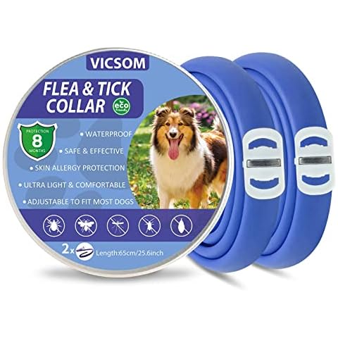 VICSOM feature image
