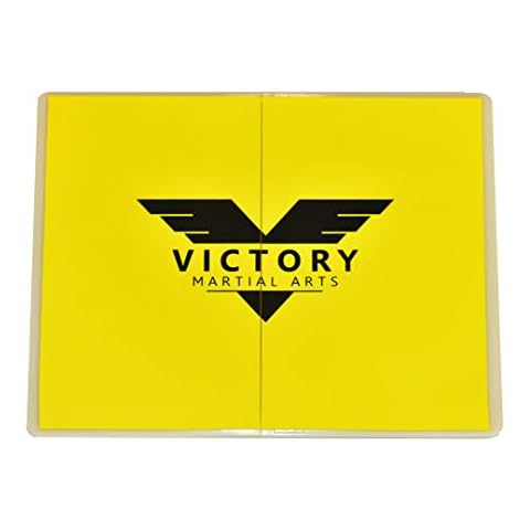 Victory Martial Arts feature image