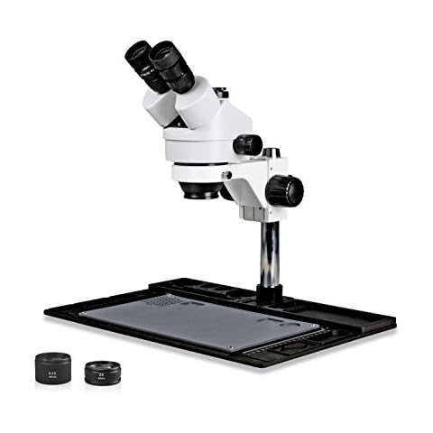 Vision Scientific feature image