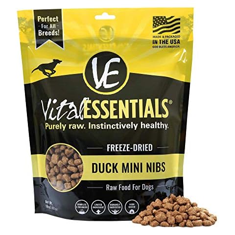 Vital Essentials feature image