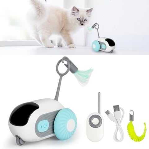 vsshe Cat Toys