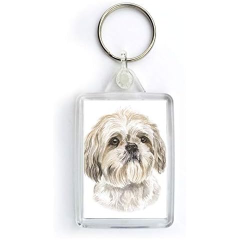 WaggyDogz feature image