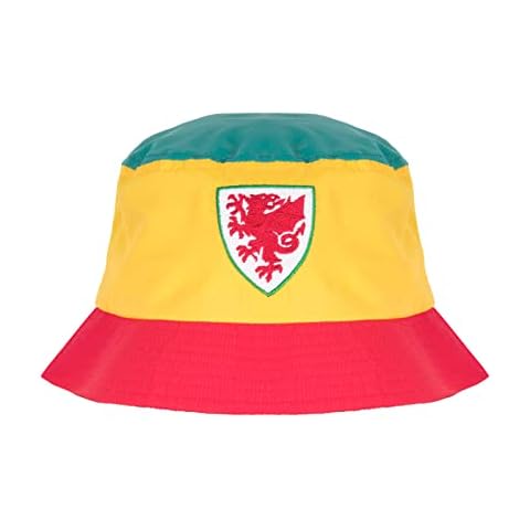 Wales F.A. feature image