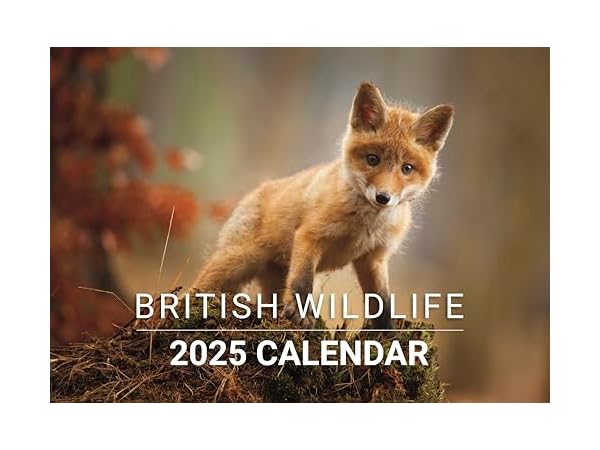 Wall Calendars Thumbnail