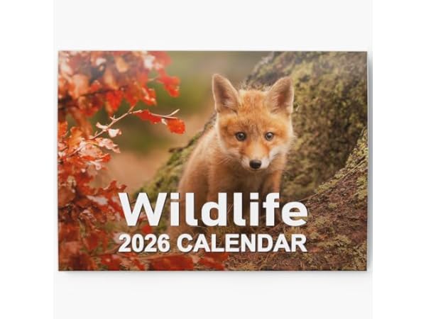 Wall Calendars Thumbnail