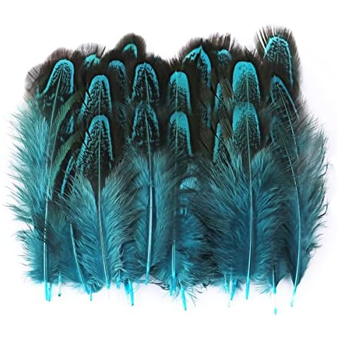 Wangruida feature image