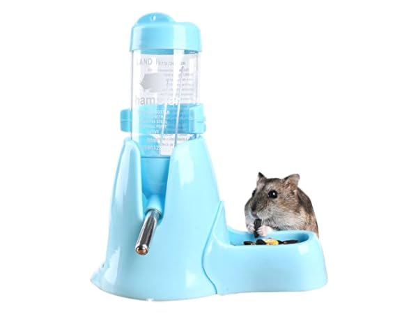 Water Bottles for Small Animals Thumbnail