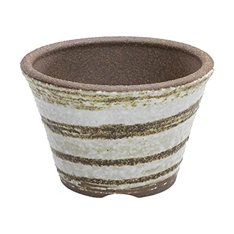 Wazakura feature image