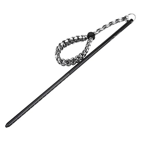 Wbestexercises feature image