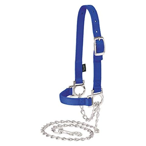 Weaver Leather Livestock feature image