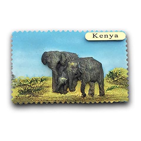 Wedare Magnet Souvenir feature image