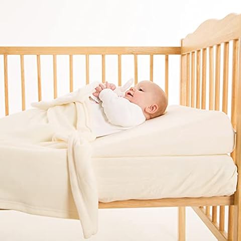 Wedgehog feature image