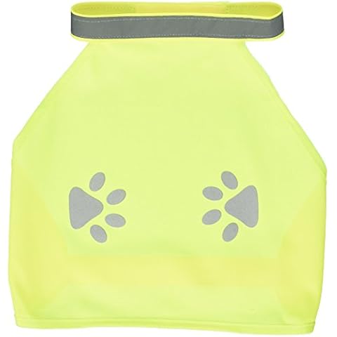 Weebo Pets feature image