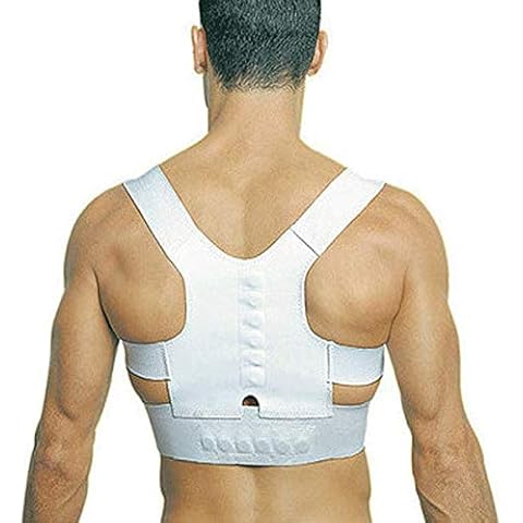 Weilong feature image