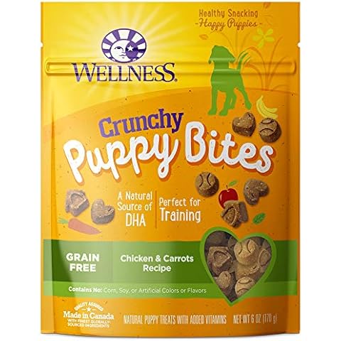 Wellness Natural Pet Food feature image