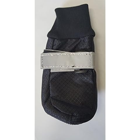 Westcoast feature image