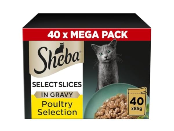 Wet Cat Food Thumbnail