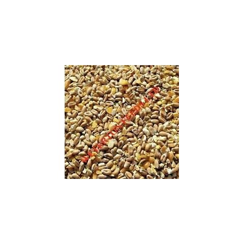 Weterton Feeds feature image