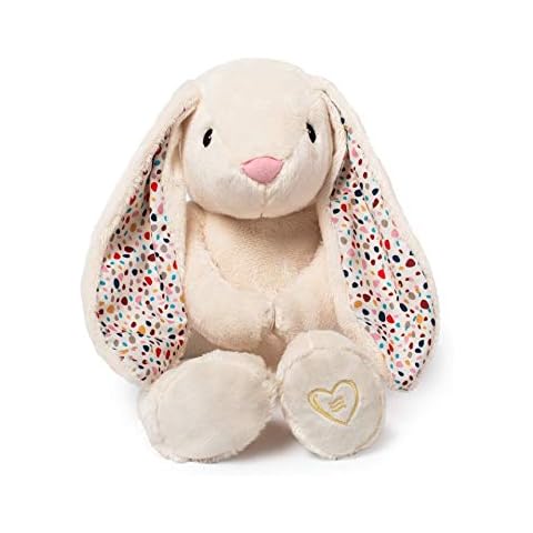 Whisbear feature image