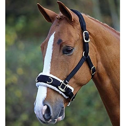 White Horse Equestrian thumbnail