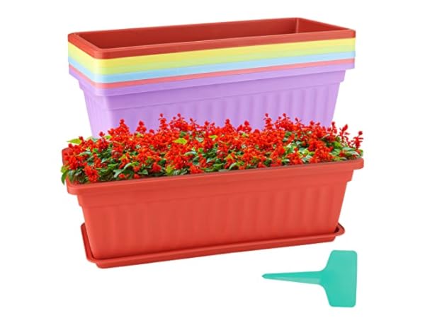 Window Boxes Thumbnail