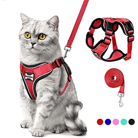 WINSEE feature image