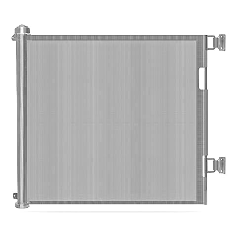 Wiscky feature image