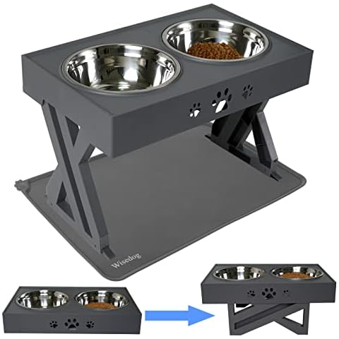 Wisedog feature image