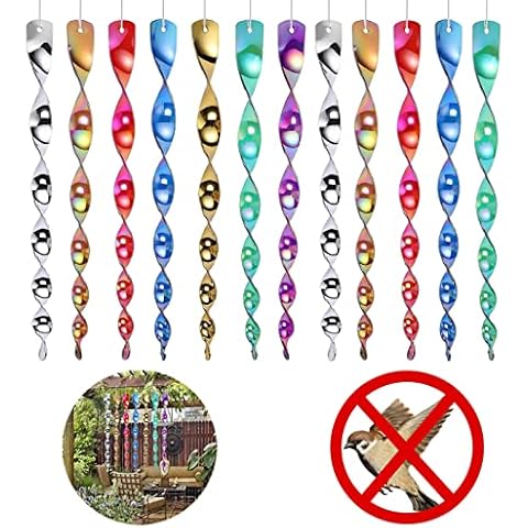 Wleozys feature image