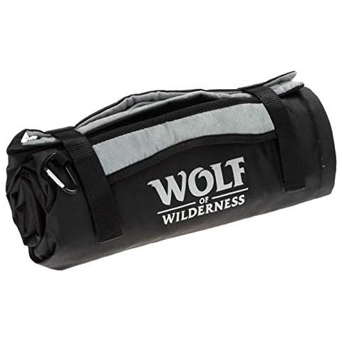 Wolf Of Wilderness feature image