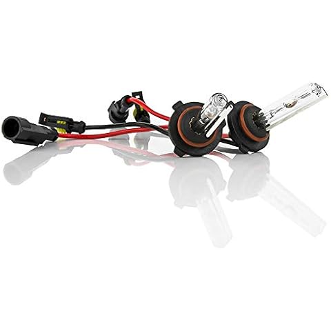 Xentec feature image