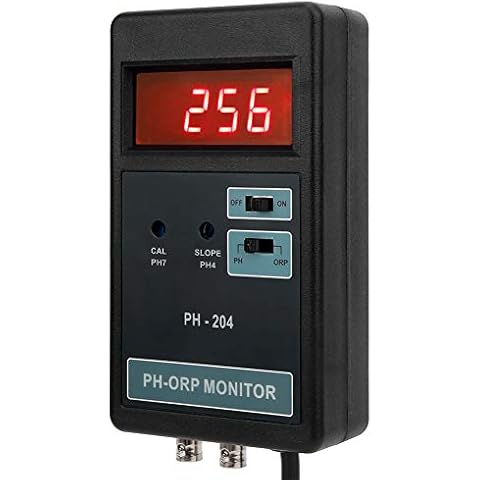 Xingwang feature image