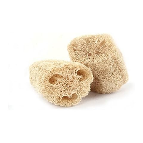 Yess Essentials feature image