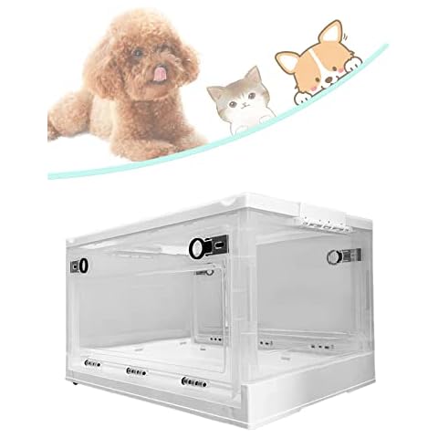 YHWD feature image