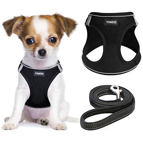 YIMEIS feature image