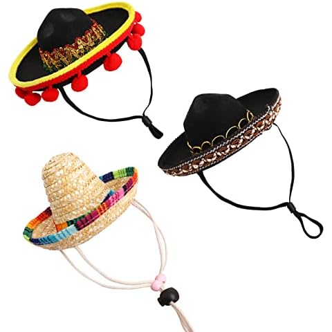 Yinbwol feature image