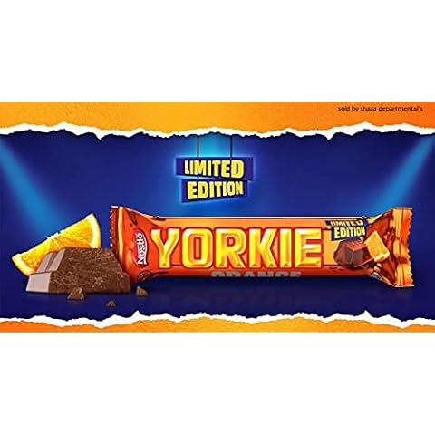 Yorkie feature image