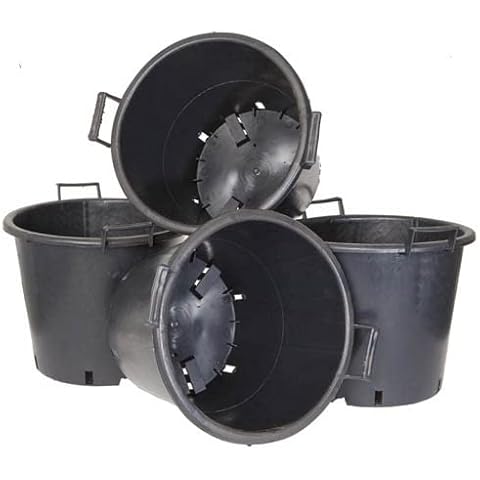 You Garden feature image